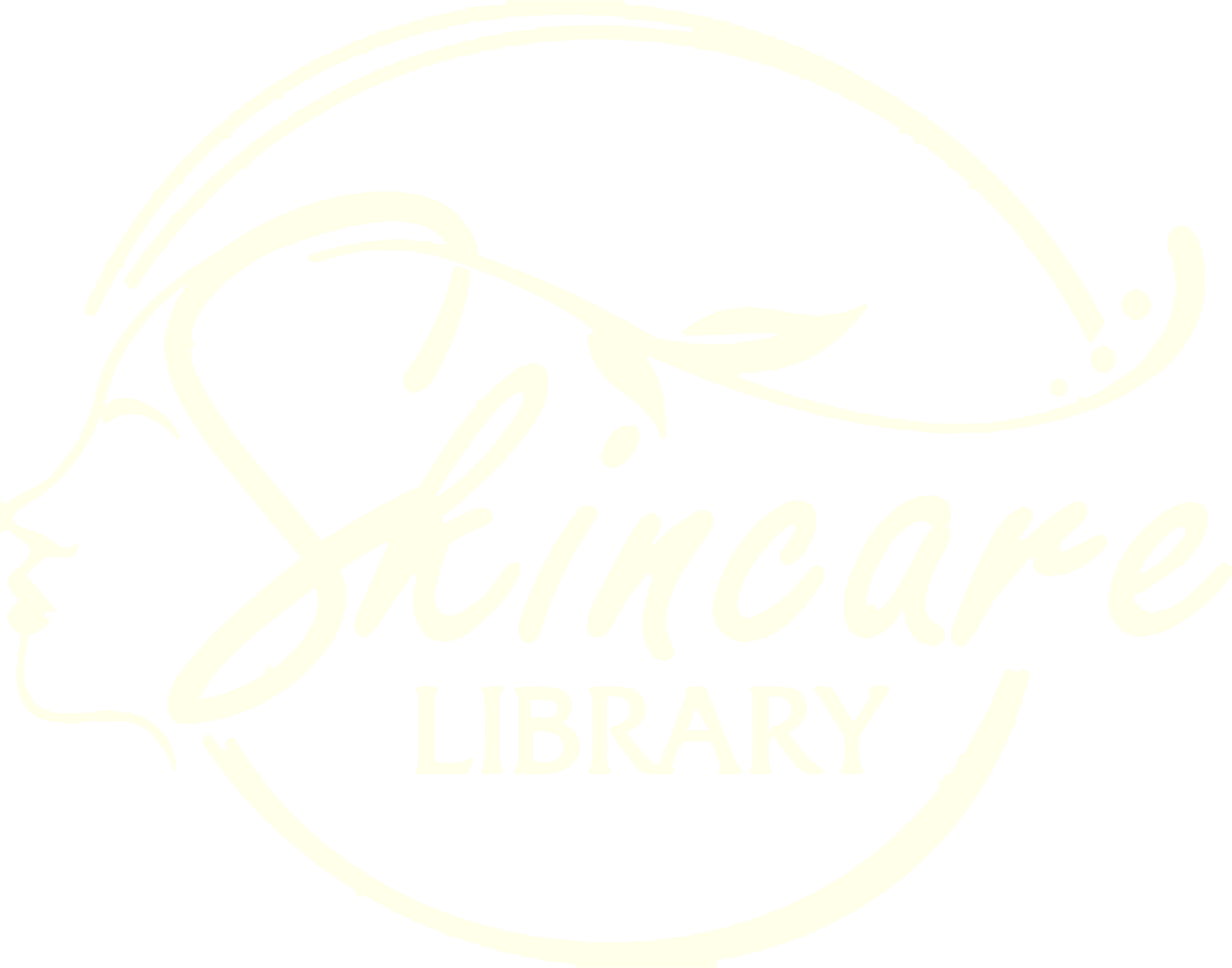 Skincare Library Nigeria Logo